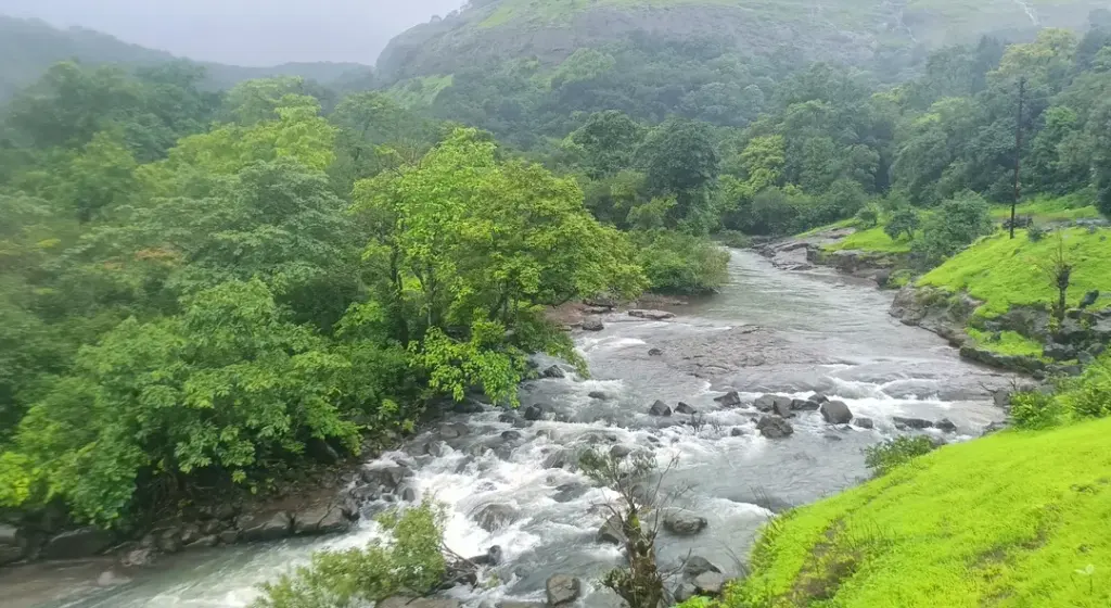 A stream running through the Sahyadri valley below Bhimashankar in the monsoon