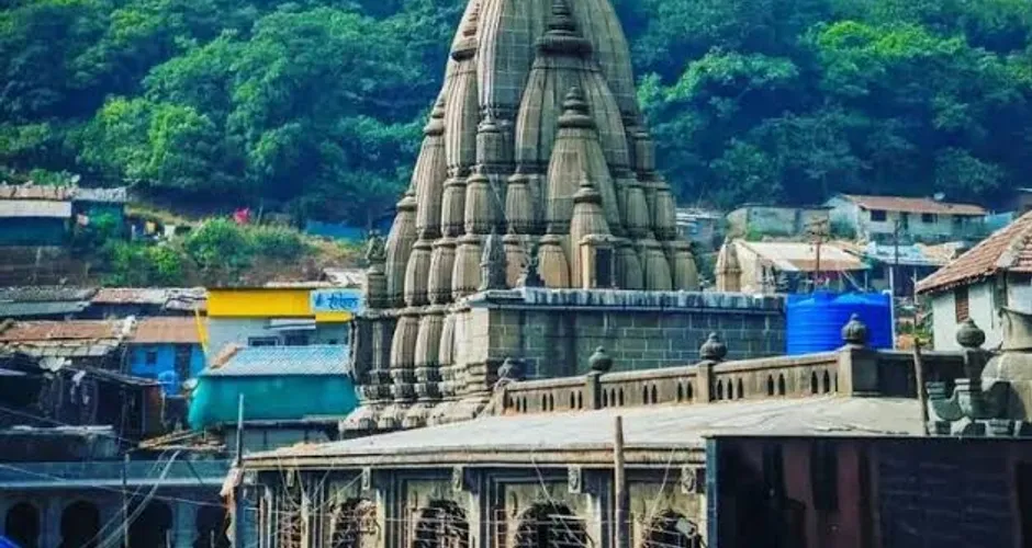 The Nagara-style shikhara of the Bhimashankar temple above the village