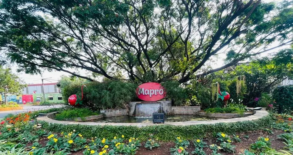 Mapro Garden on the road into Panchgani