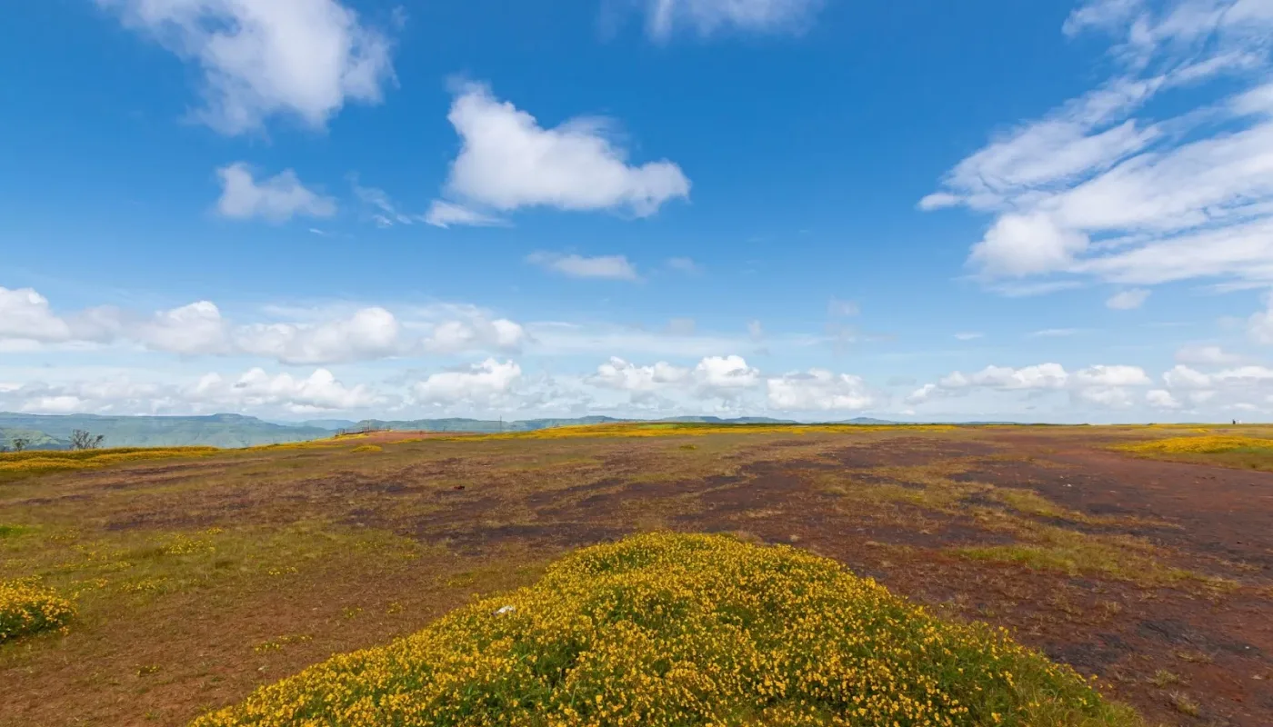 Table Land plateau at Panchgani, the flat basalt top above the valley